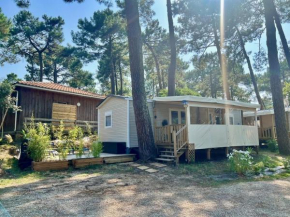 La cabane des pins